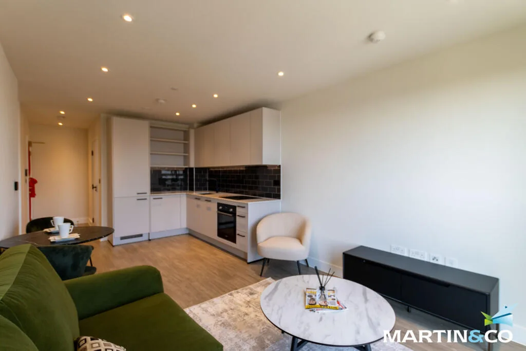 1 bedroom apartment for rent