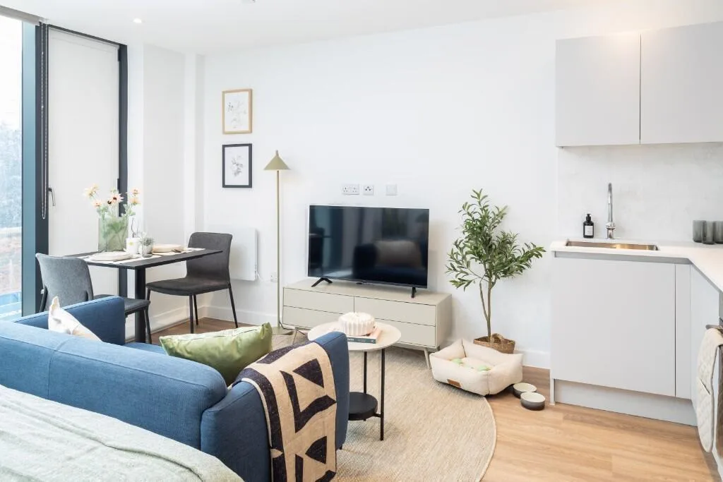 Studio flat for rent