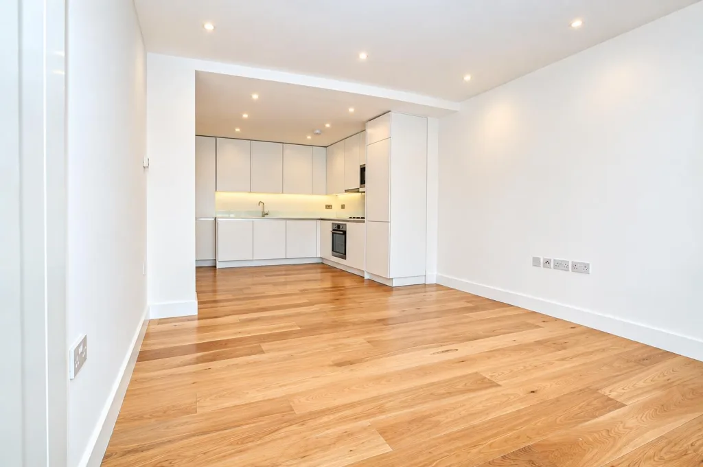 1 bedroom penthouse for rent