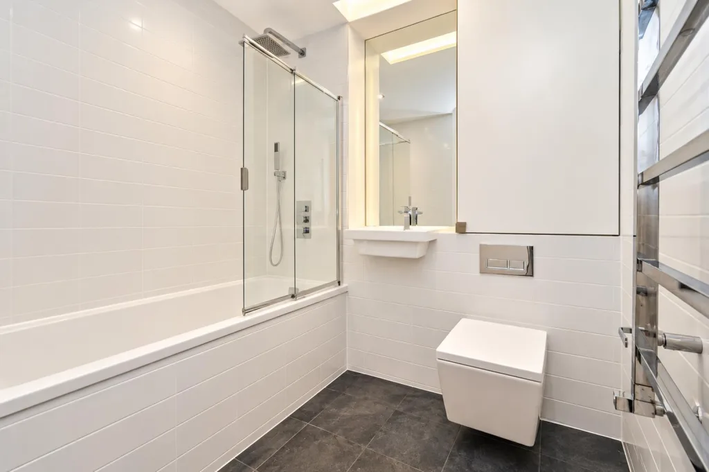 1 bedroom penthouse for rent
