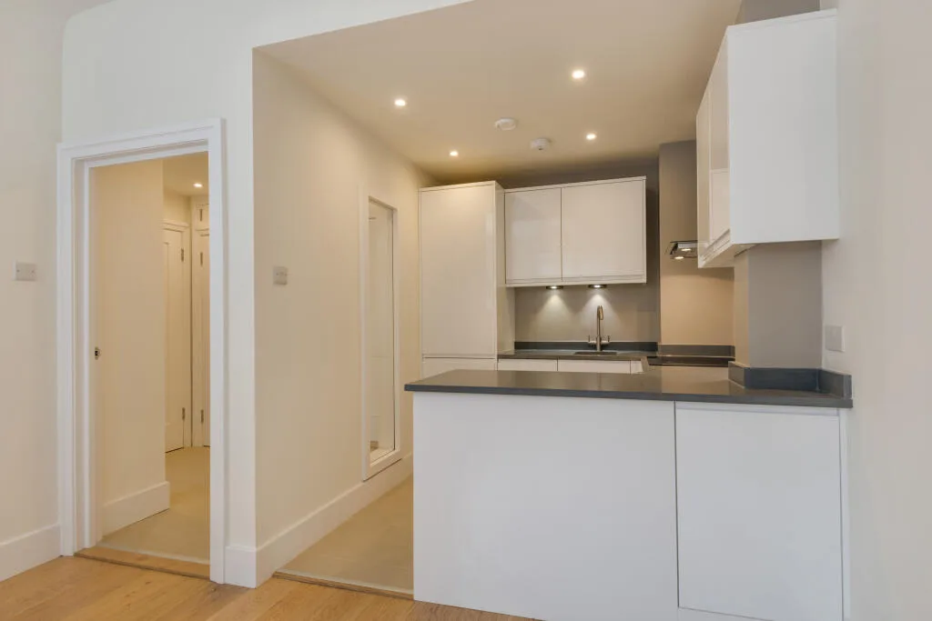 1 bedroom apartment for rent