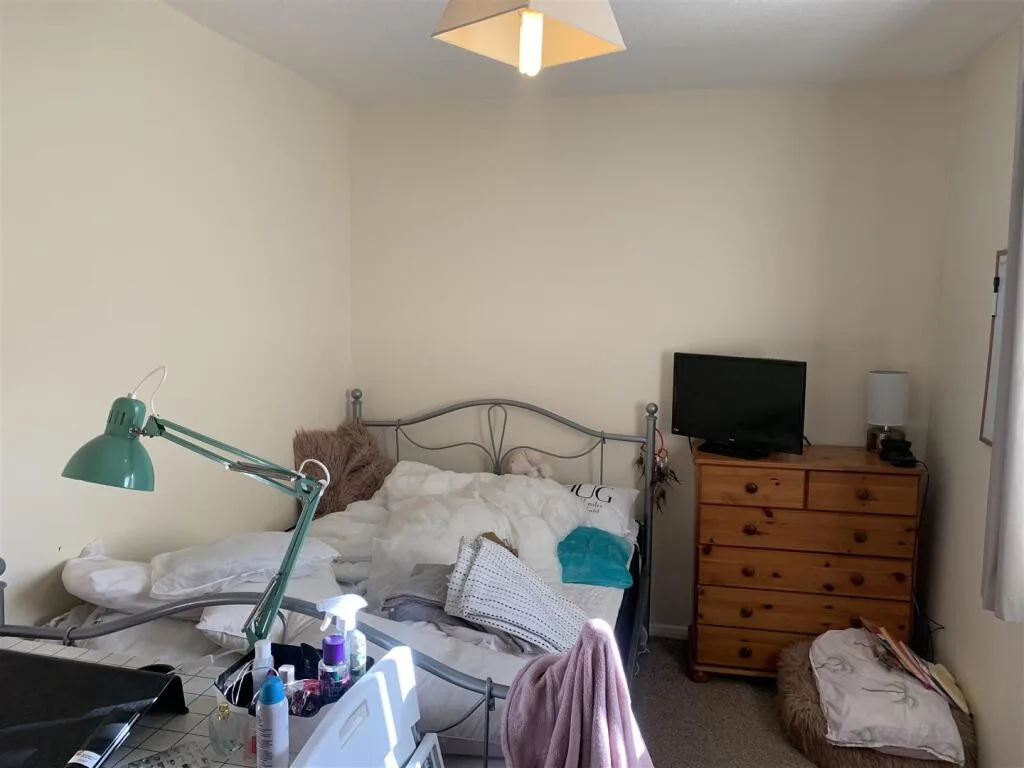 2 bedroom house for rent