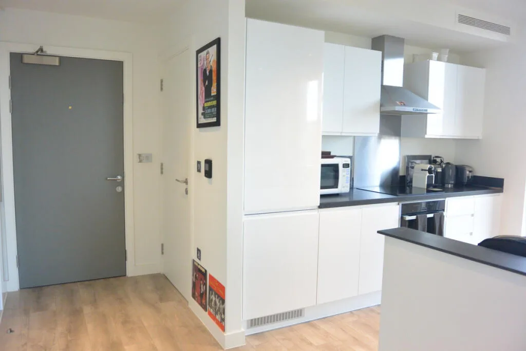 1 bedroom apartment for rent