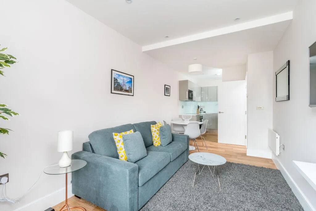 1 bedroom flat for rent