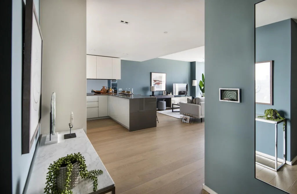1 bedroom apartment for rent