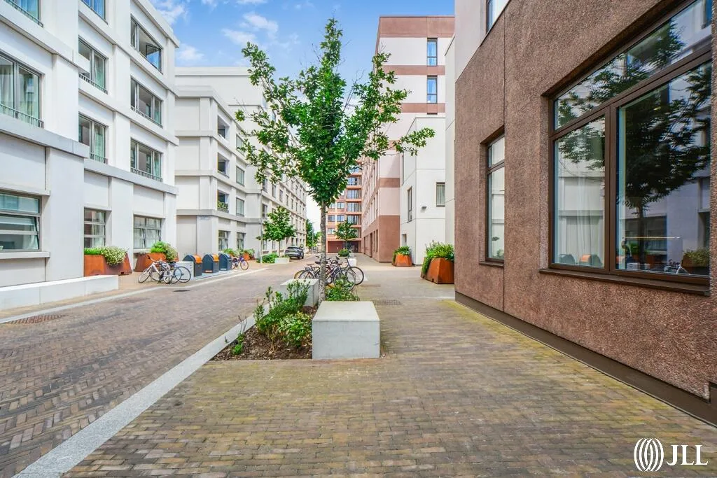1 bedroom ground floor flat for rent