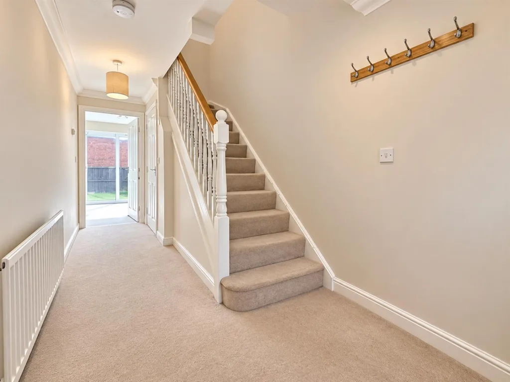 3 bedroom house for rent