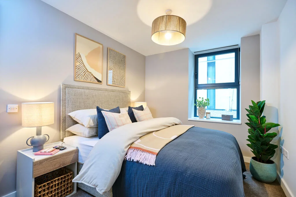 1 bedroom apartment for rent