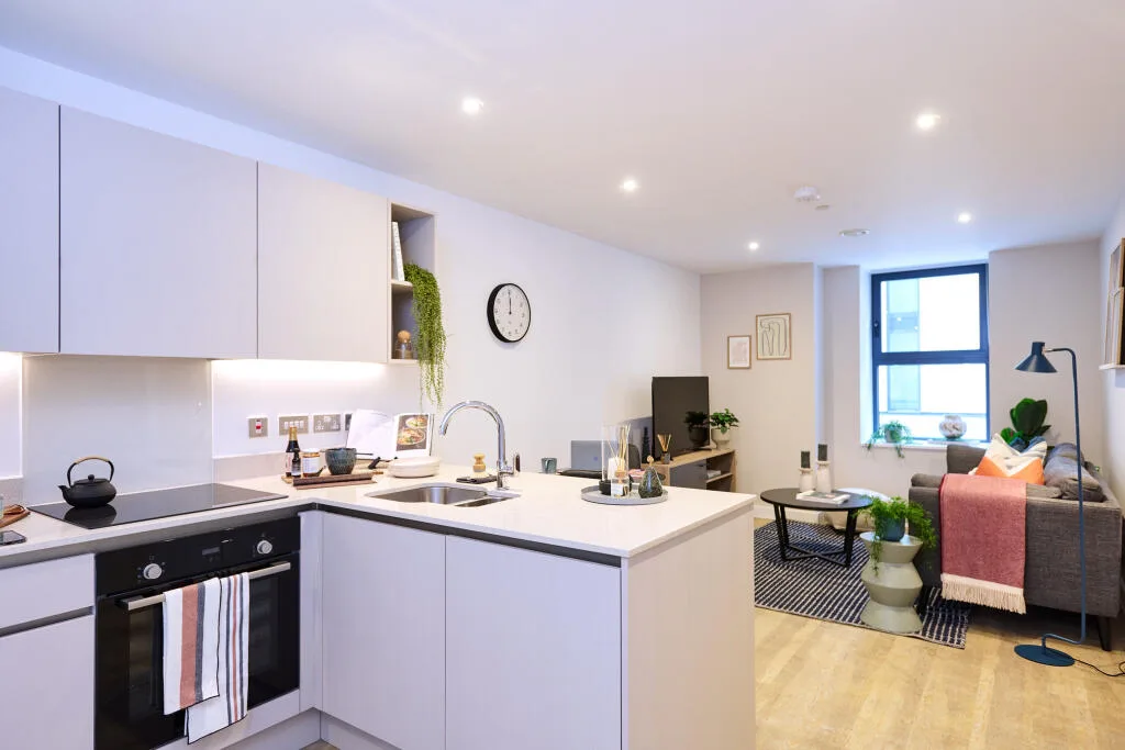 1 bedroom apartment for rent