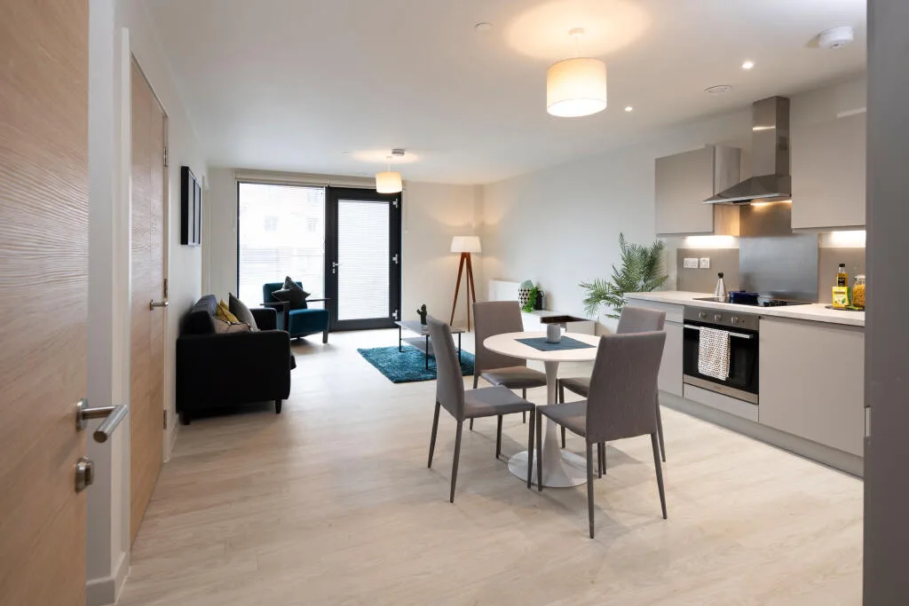 1 bedroom apartment for rent