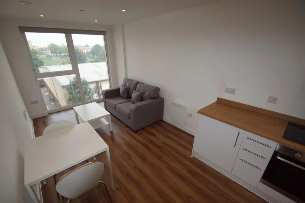 1 bedroom apartment for rent