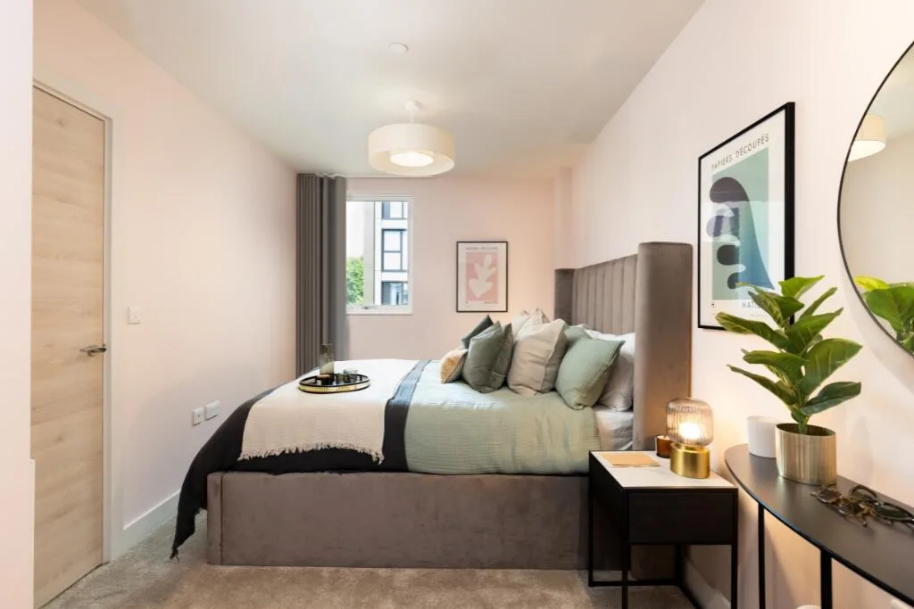 1 bedroom flat for rent