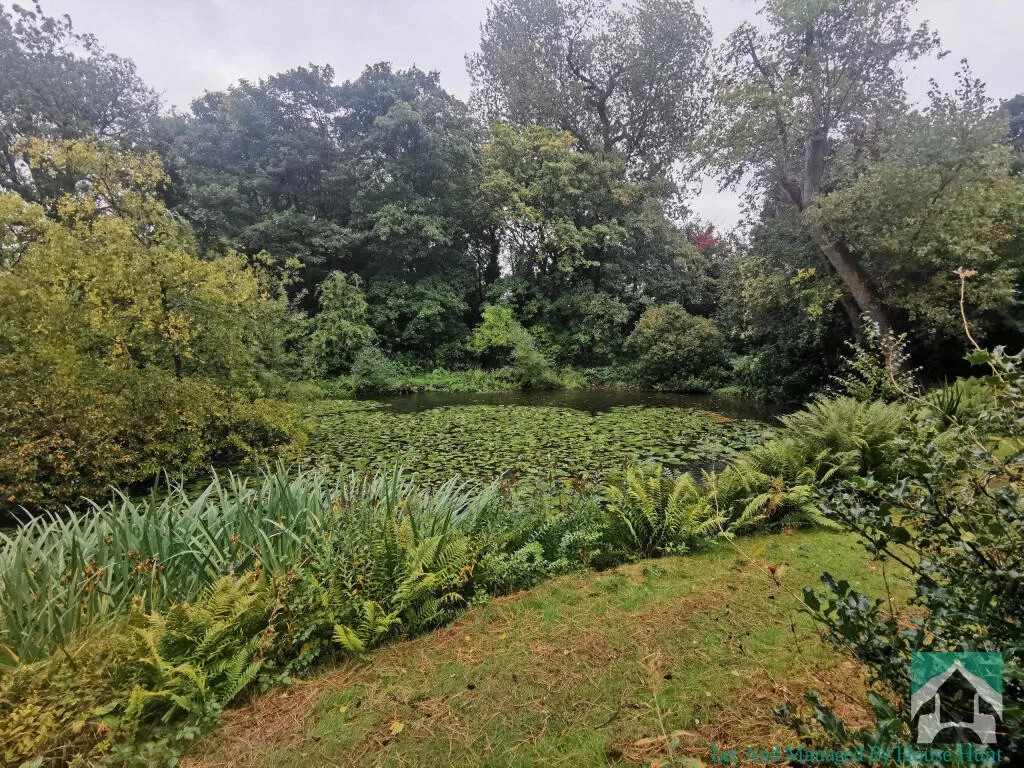 5 bedroom house for rent