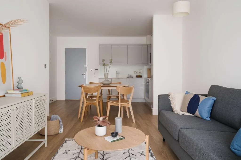 1 bedroom apartment for rent