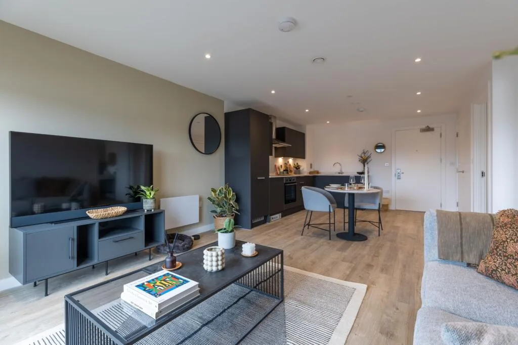 1 bedroom apartment for rent