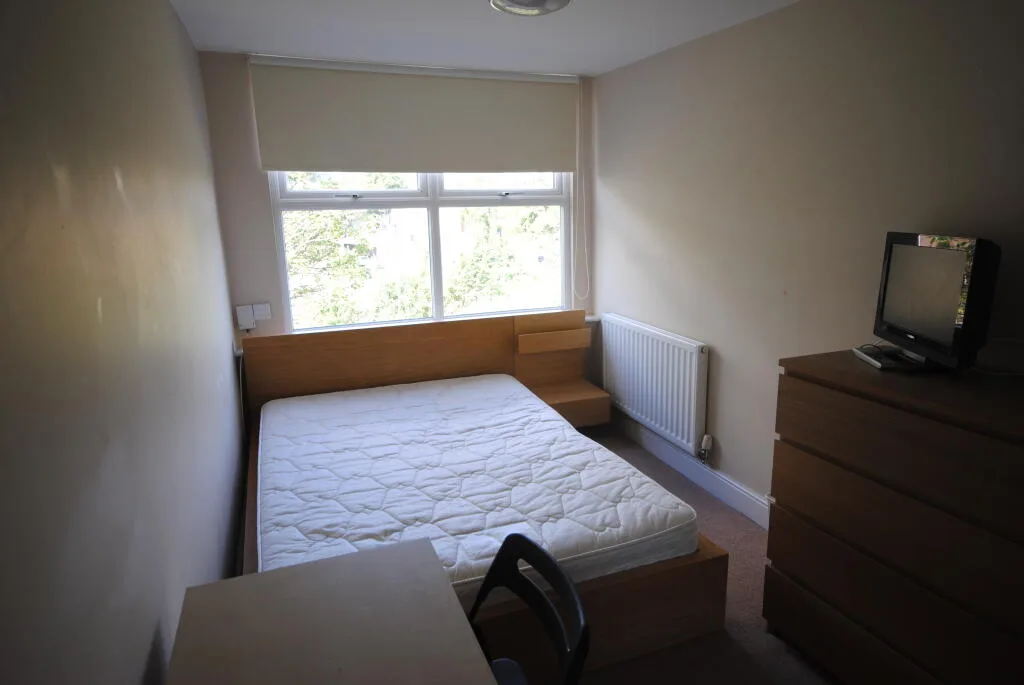 4 bedroom apartment for rent