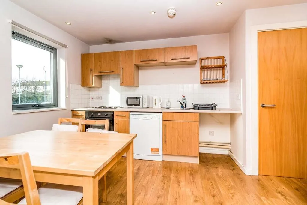 1 bedroom apartment for rent
