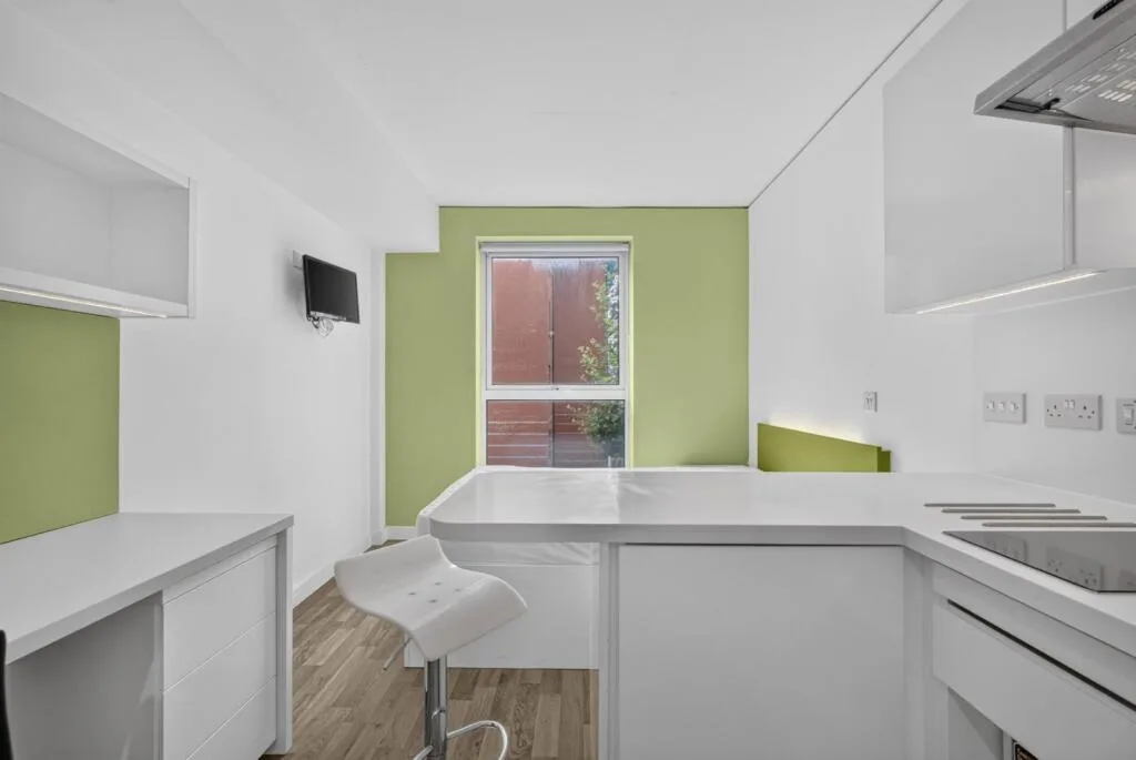 Studio flat for rent