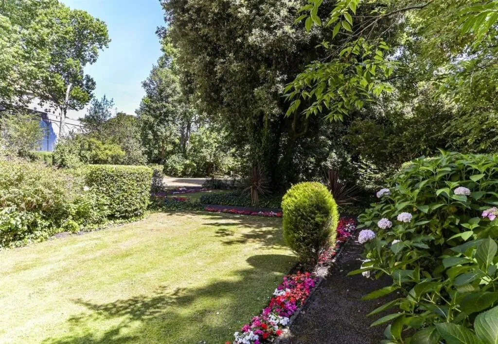 4 bedroom apartment for rent