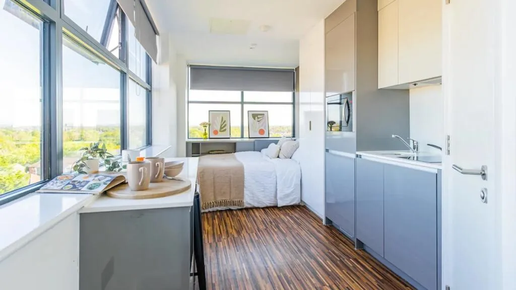 1 bedroom apartment for rent