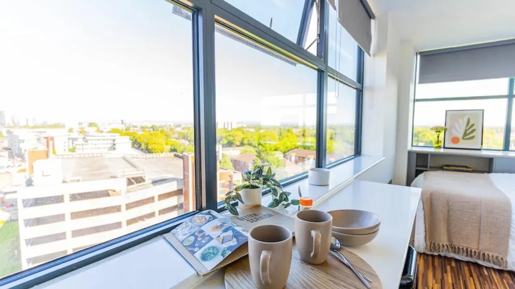 1 bedroom apartment for rent