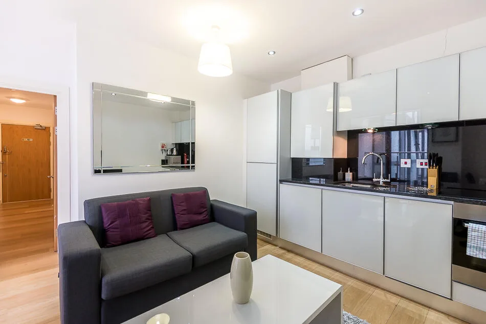 1 bedroom apartment for rent