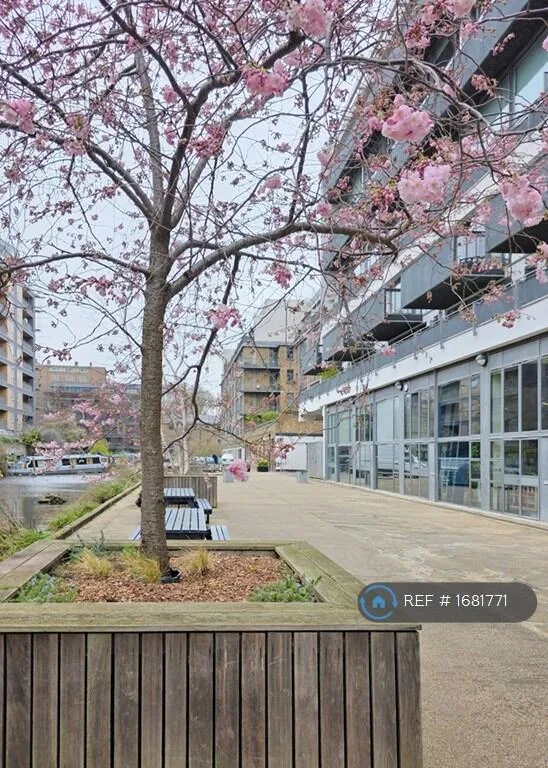 2 bedroom maisonette for rent