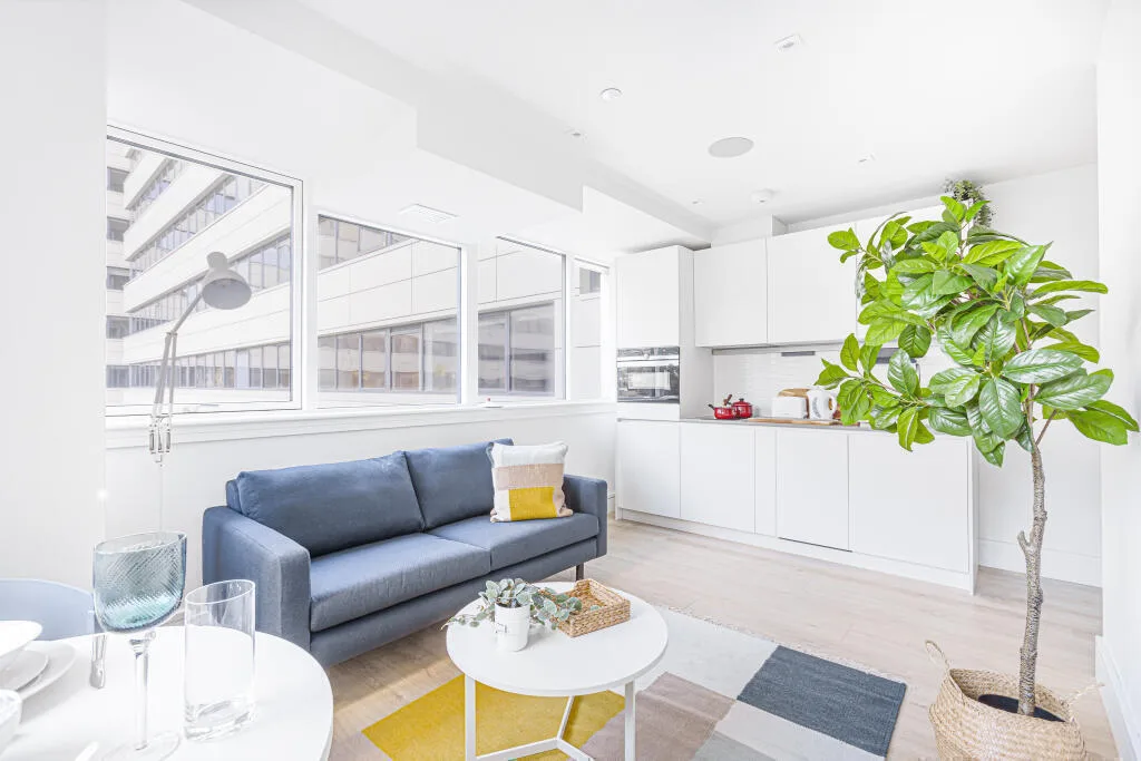 1 bedroom flat for rent