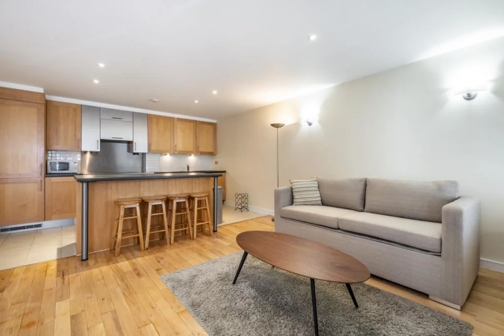 1 bedroom apartment for rent