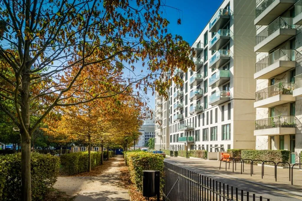 3 bedroom apartment for rent