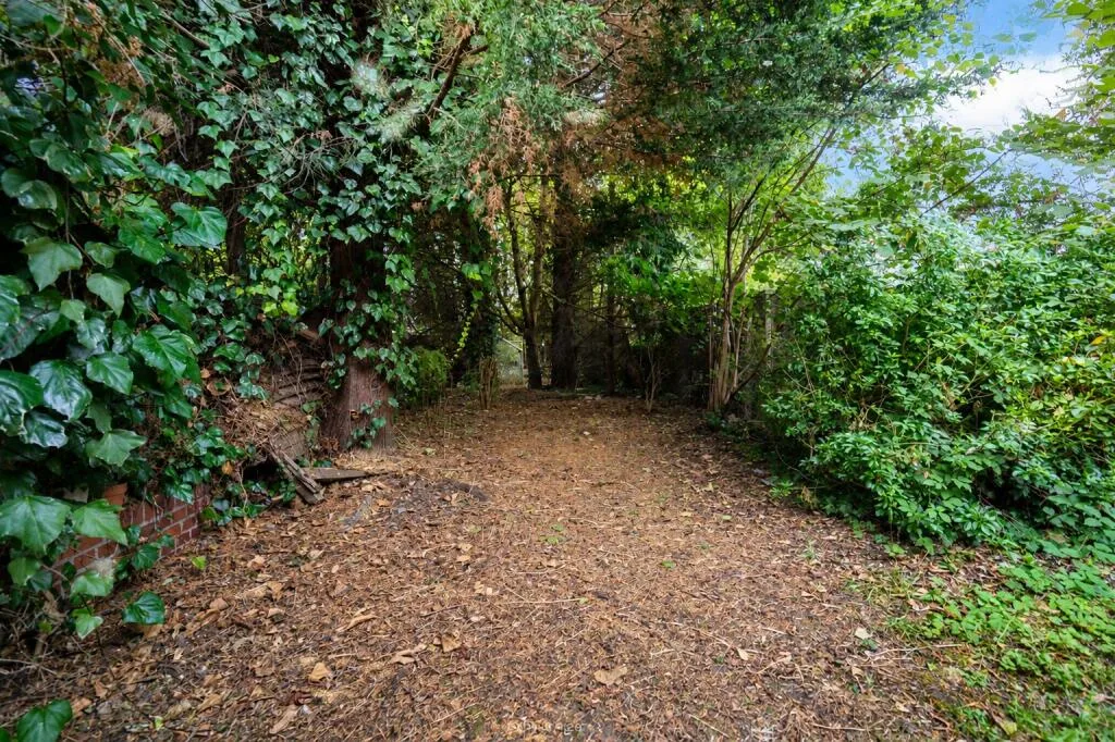 5 bedroom house for rent