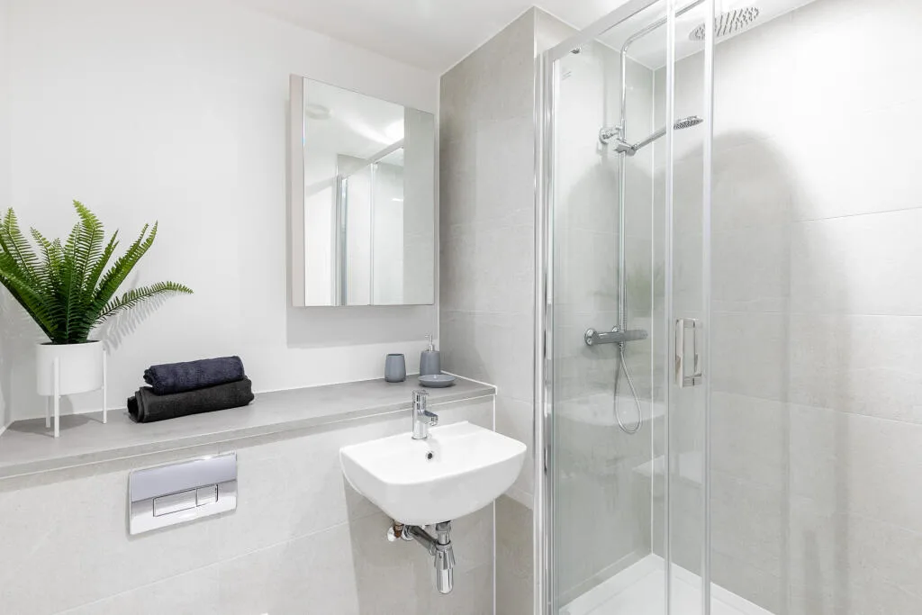 1 bedroom apartment for rent