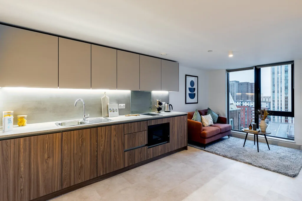 1 bedroom apartment for rent