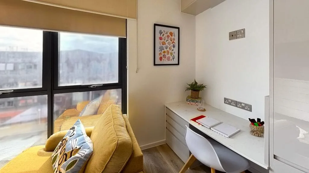Studio flat for rent