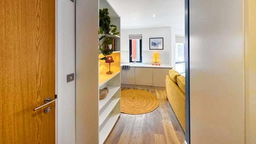 Studio flat for rent