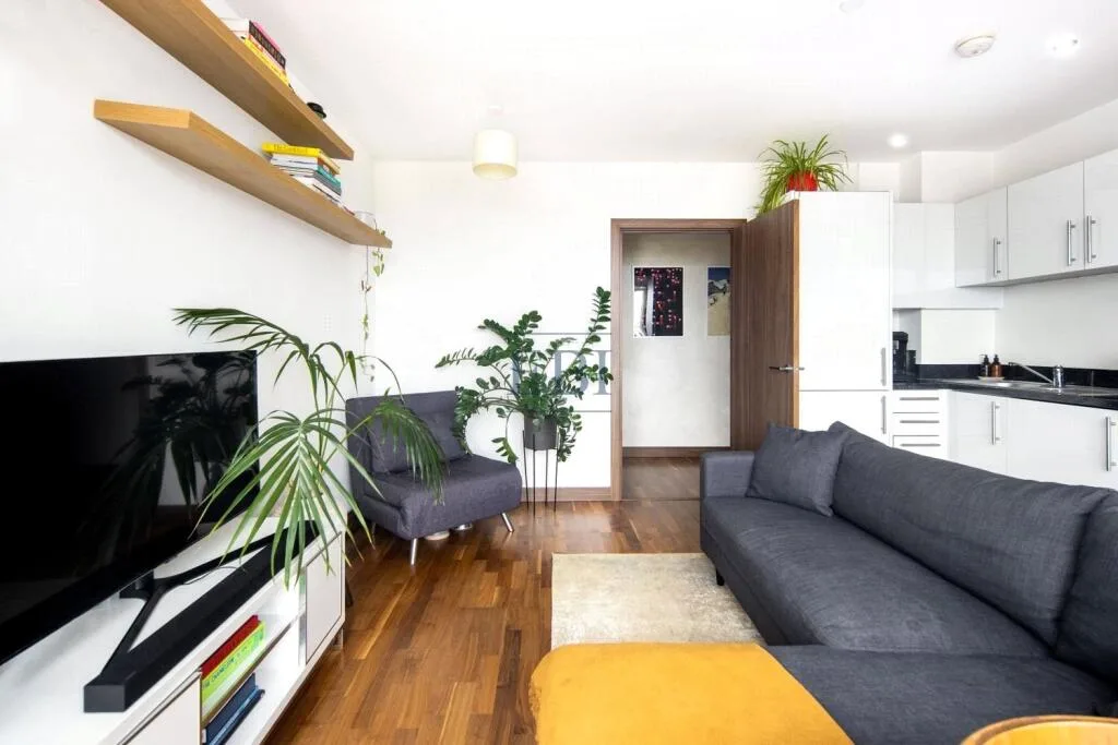 1 bedroom apartment for rent