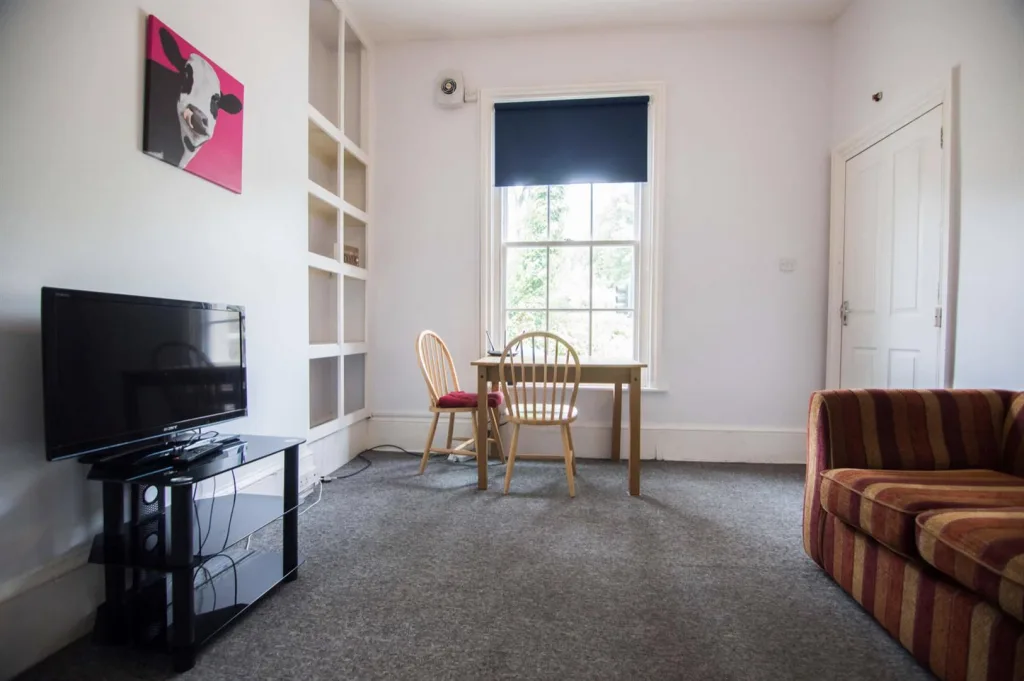 1 bedroom flat for rent