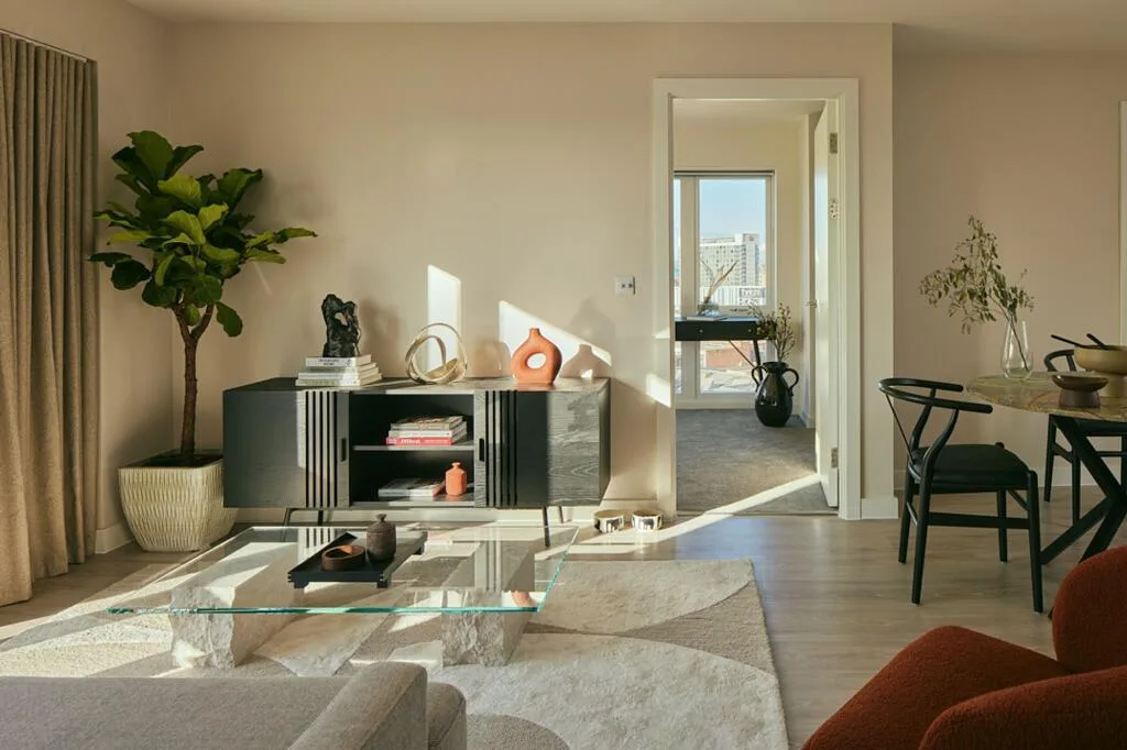 1 bedroom apartment for rent