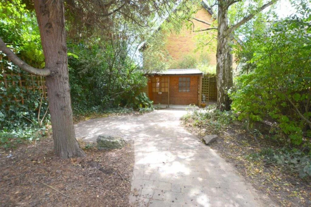 3 bedroom apartment for rent
