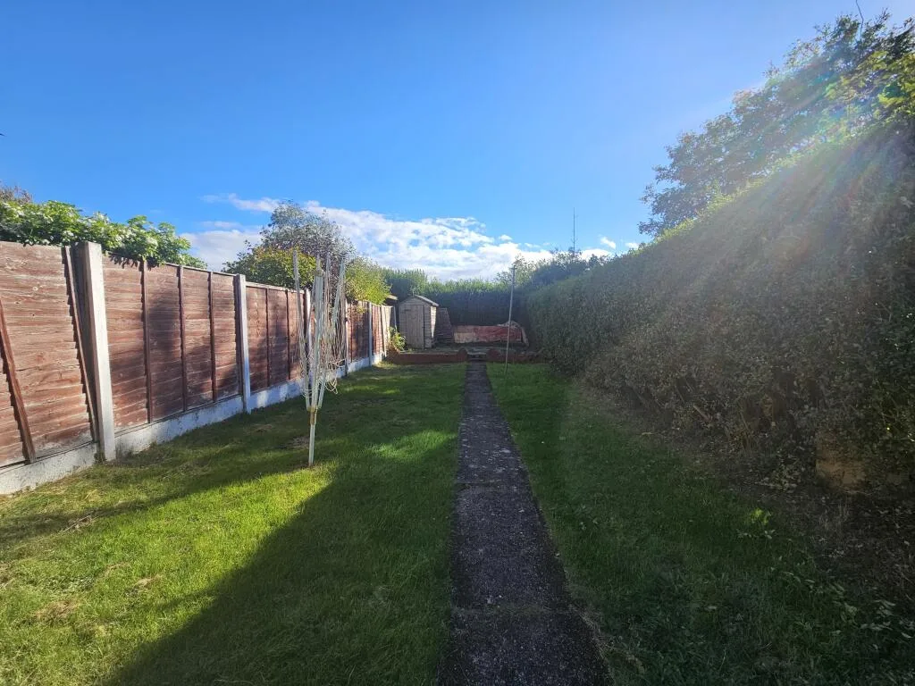 3 bedroom house for rent
