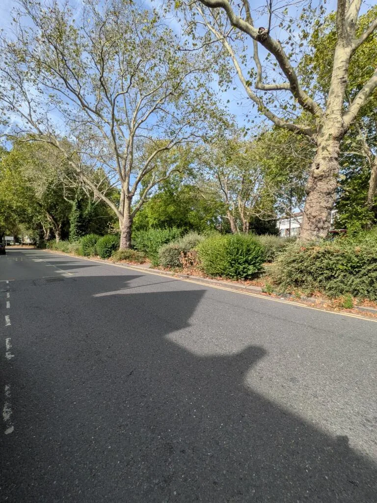 4 bedroom house for rent