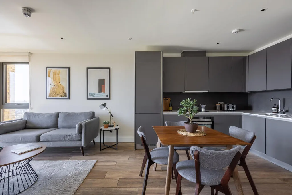 1 bedroom apartment for rent