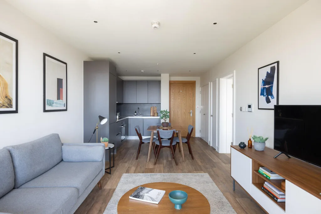 1 bedroom apartment for rent