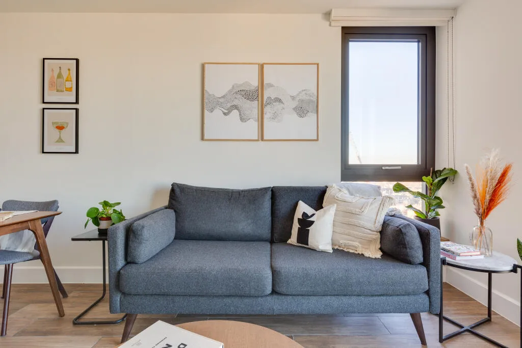 1 bedroom apartment for rent