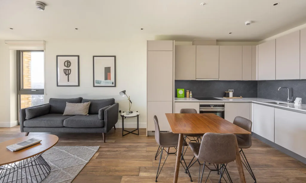 1 bedroom apartment for rent
