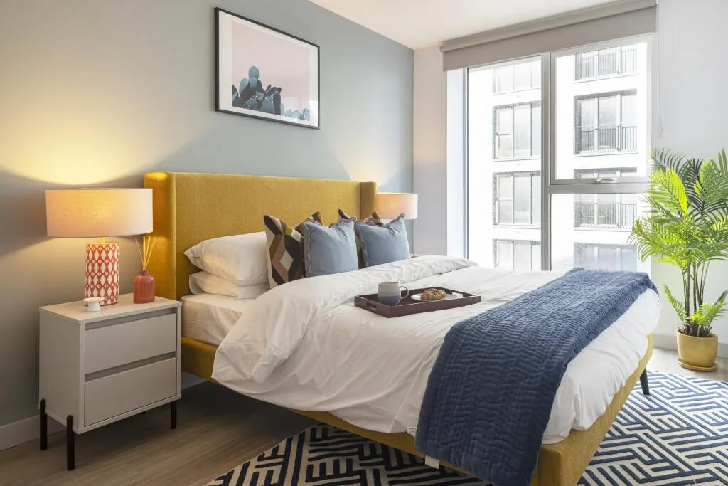 3 bedroom apartment for rent