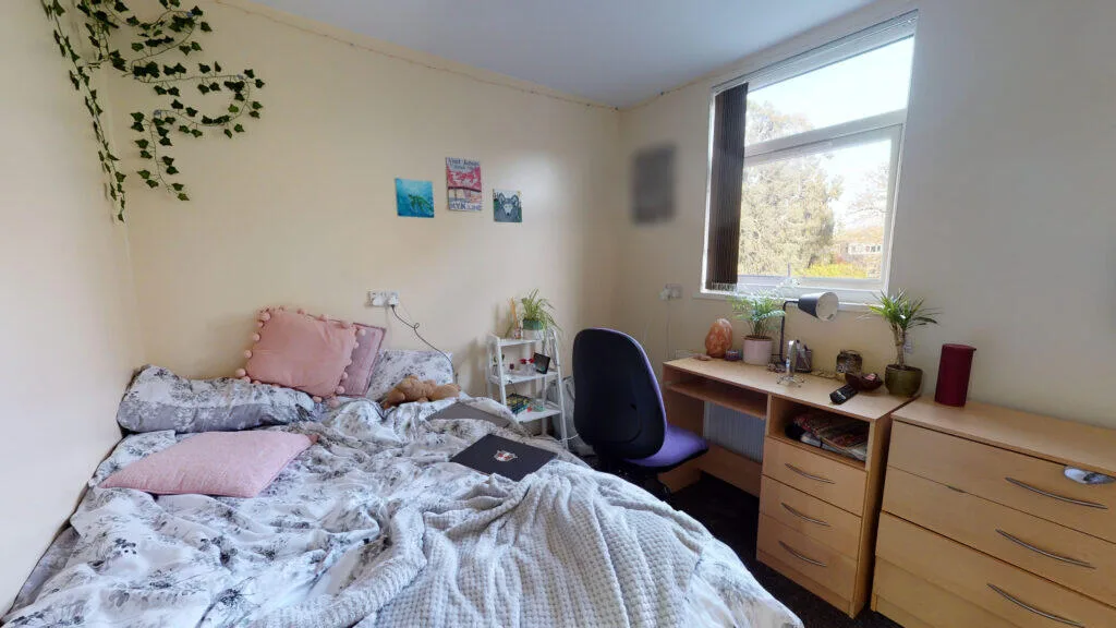 8 bedroom house for rent