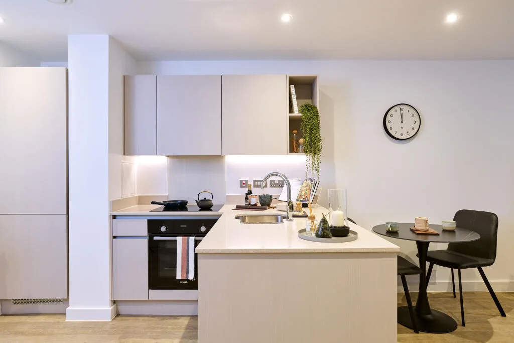 1 bedroom apartment for rent