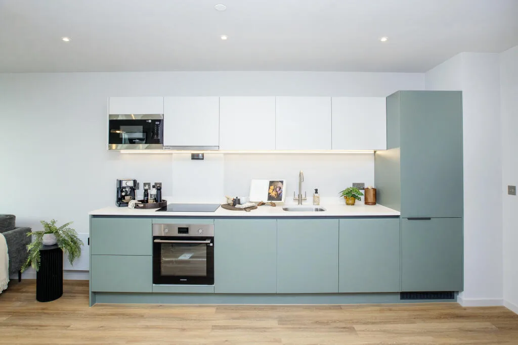 1 bedroom apartment for rent