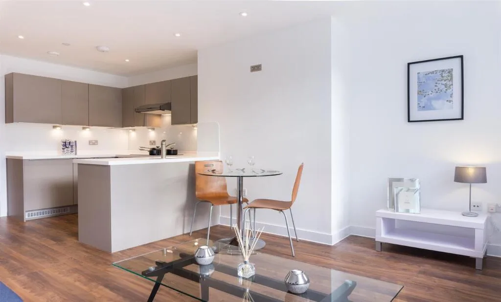 1 bedroom apartment for rent